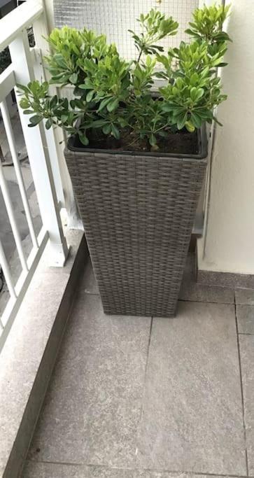 στην Apartment Alexandroupoli